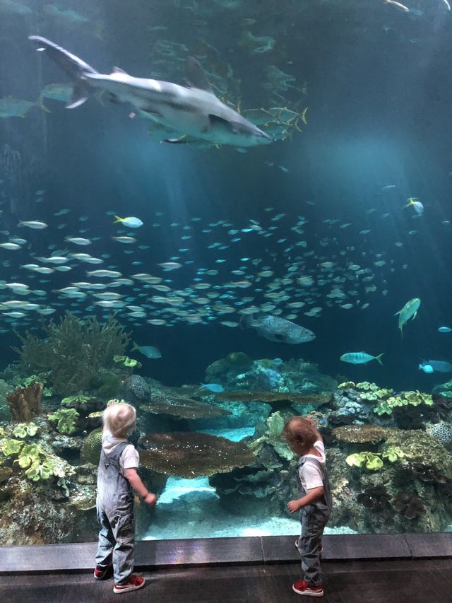 boysfish2 640w