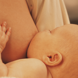 5 common nipple issues 11 Renée’s favorite car seats for all ages