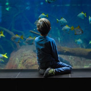 13 best experience gifts for kids 14 Food allergy basics – everything parents need to know