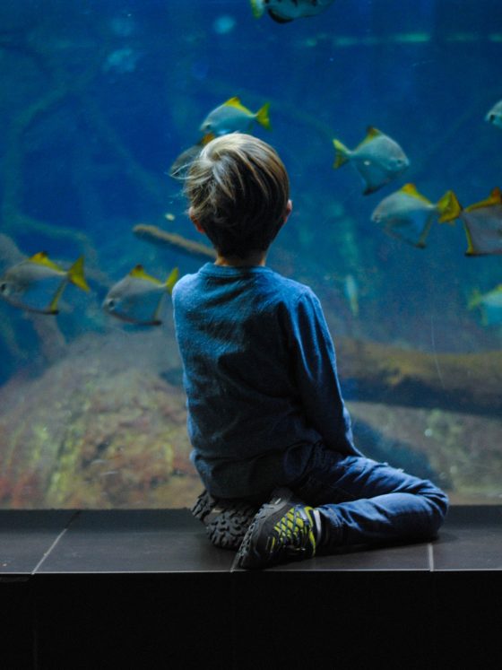 13 best experience gifts for kids 11 13 best experience gifts for kids